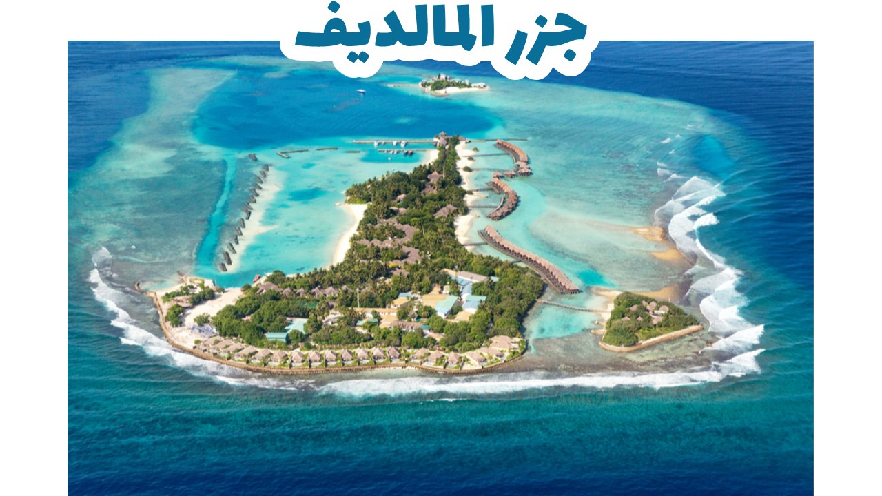 جزر-المالديف