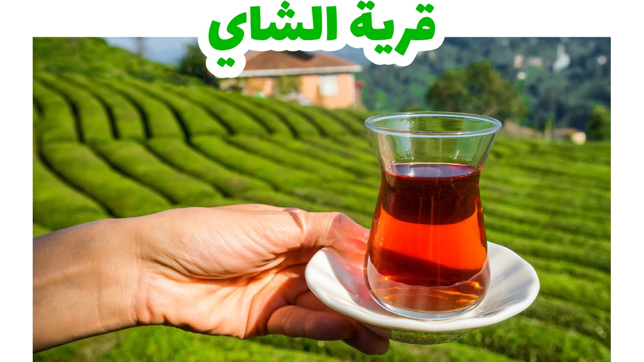 قرية-الشاي