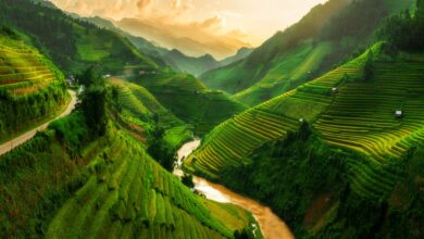 فيتنام-سياحة-أسيا