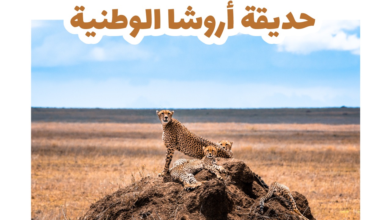 حديقة أروشا الوطنية-تنزانيا