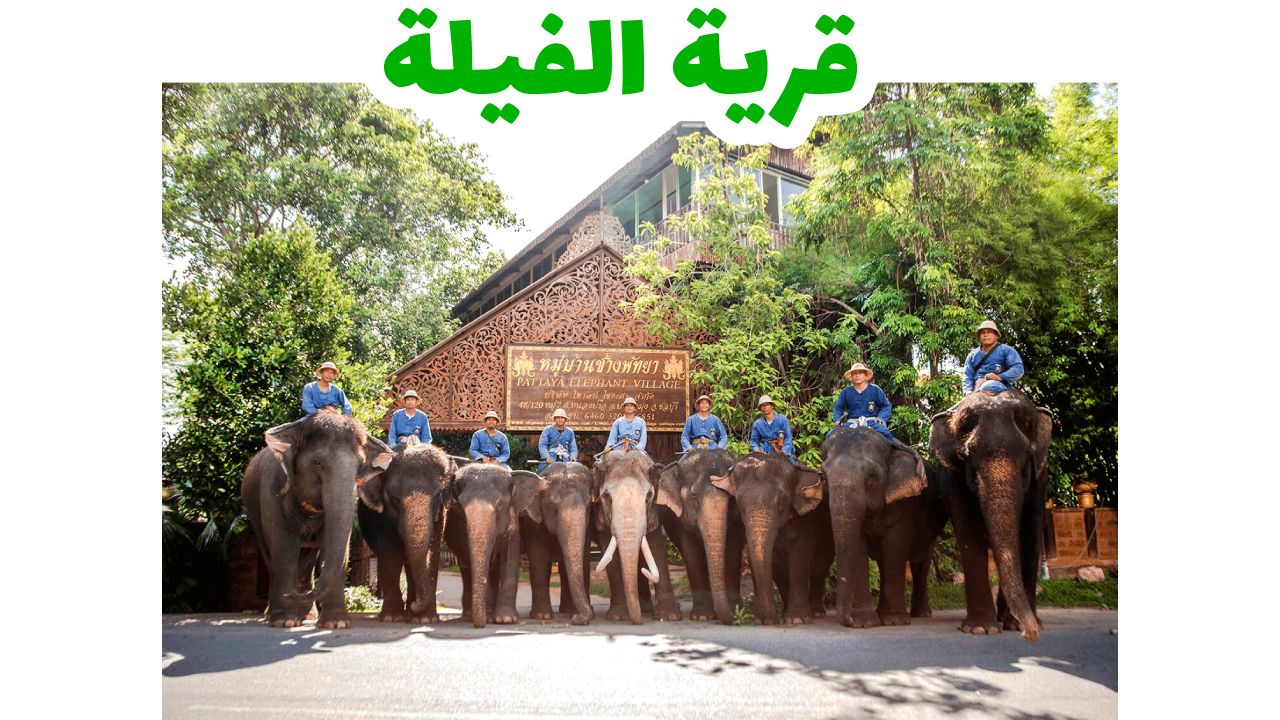 بتايا-قرية-الفيلة-سياحة-تايلاند