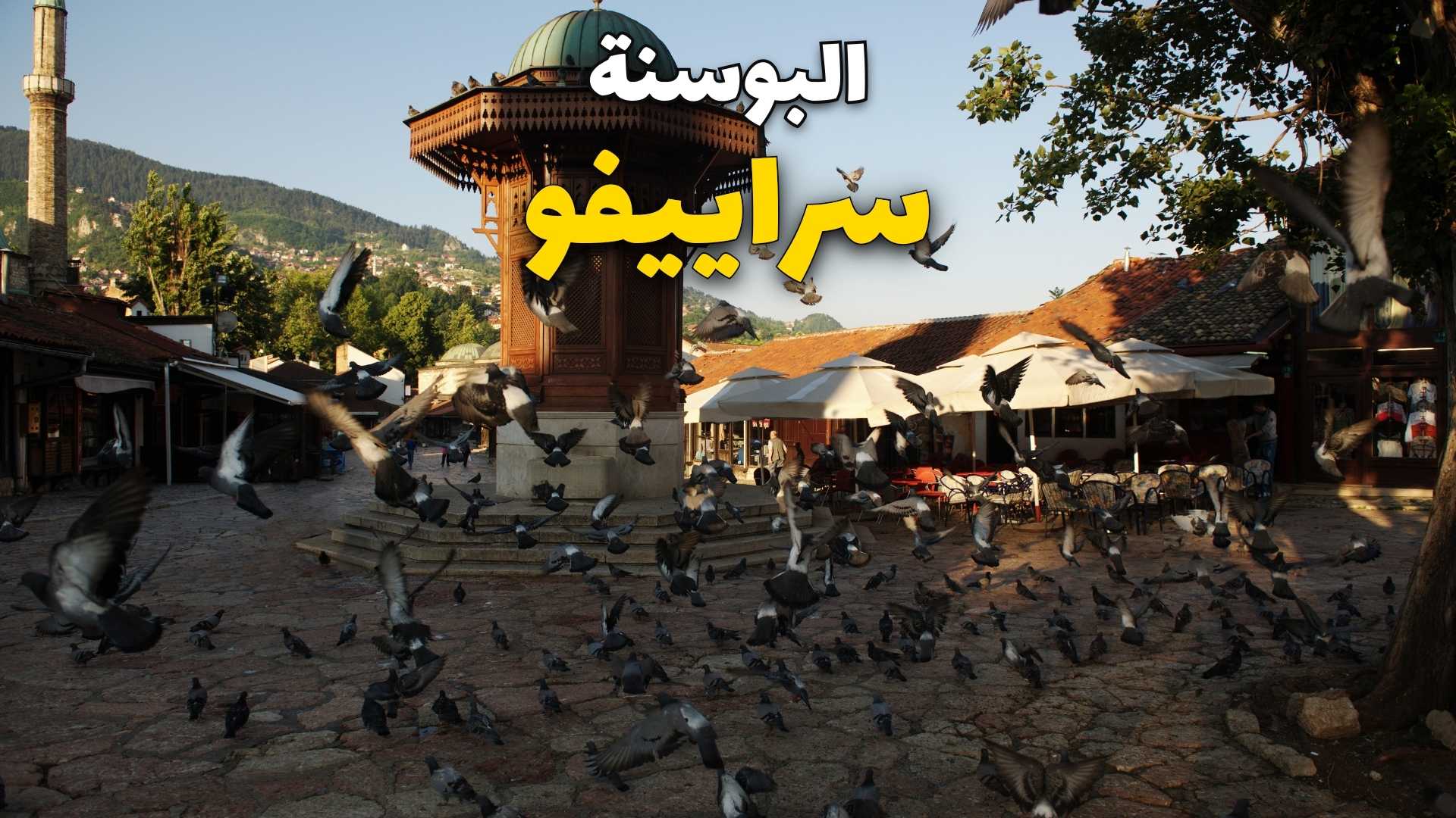 حي بشارشيا 
