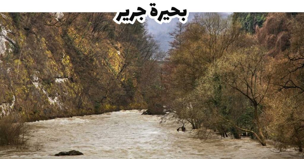  بحيرة جرير - يايسي 