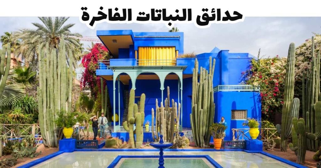 حدائق النباتات الفاخرة-شفشاون-المغرب