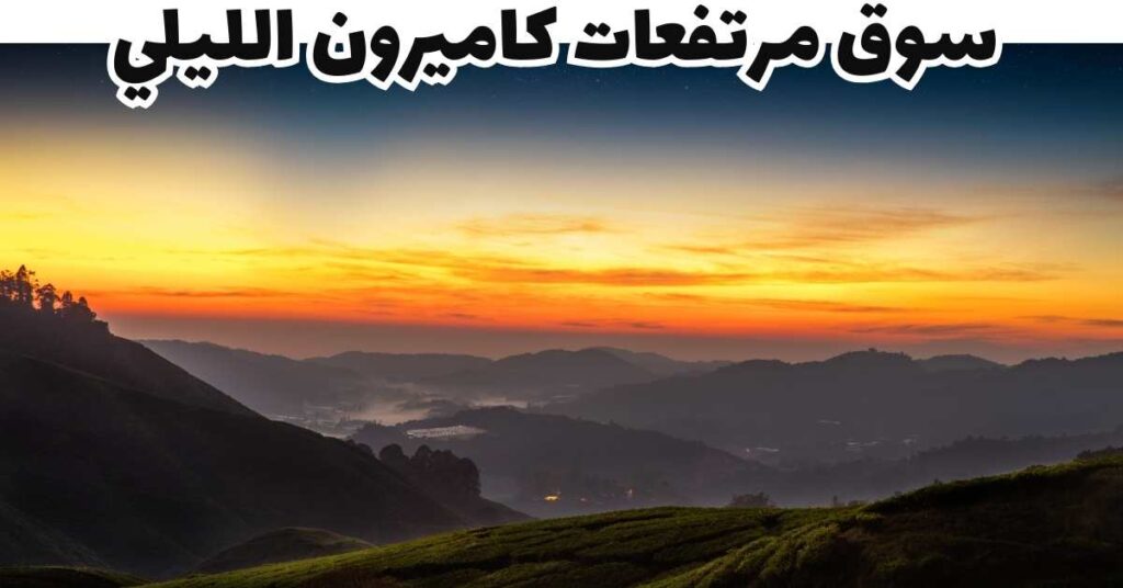 سوق مرتفعات كاميرون الليلي-مرتفعات كاميرون-ماليزيا