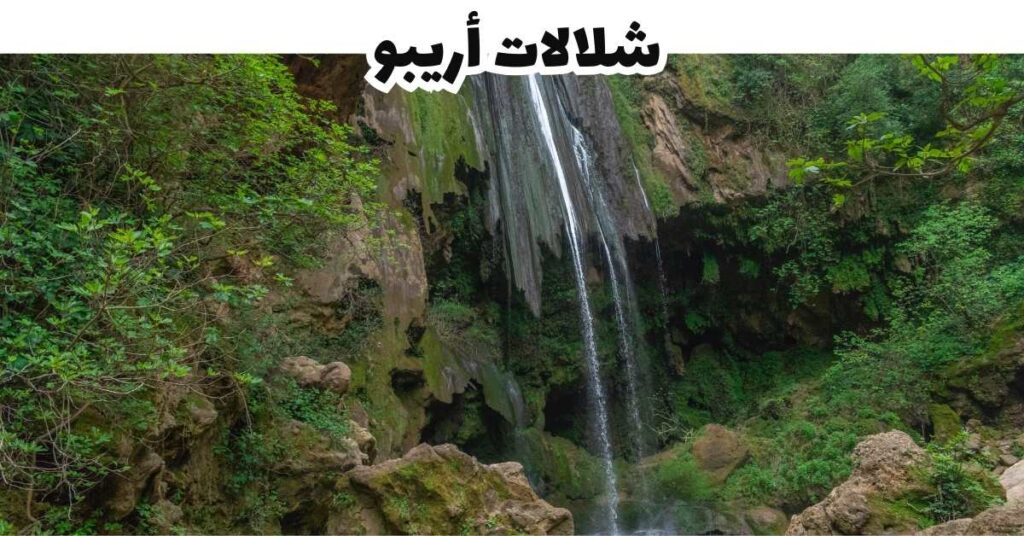 شلالات أريبو-شفشاون-المغرب