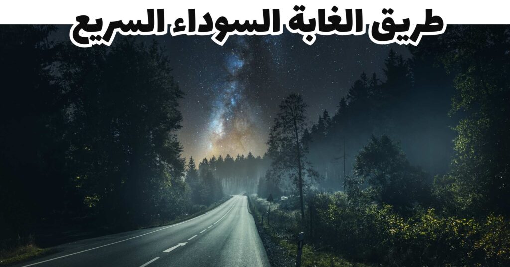 طريق الغابة السوداء السريع