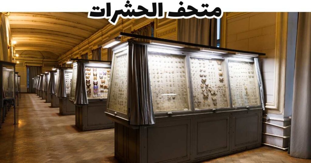 متحف الحشرات-مرتفعات كاميرون-ماليزيا