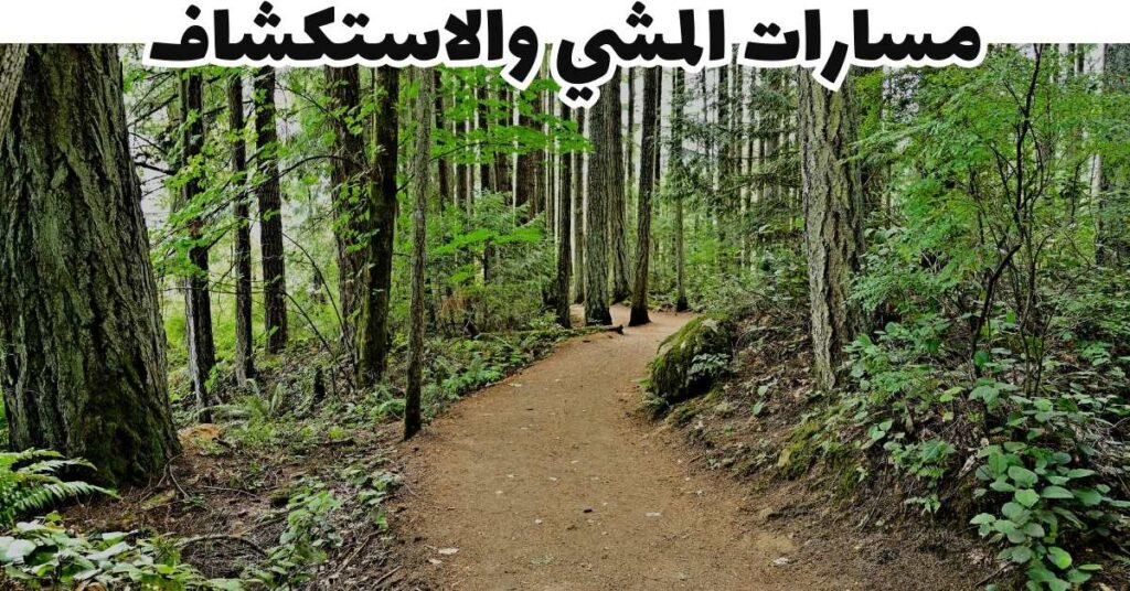 مسارات المشي والاستكشاف-مرتفعات كاميرون-ماليزيا