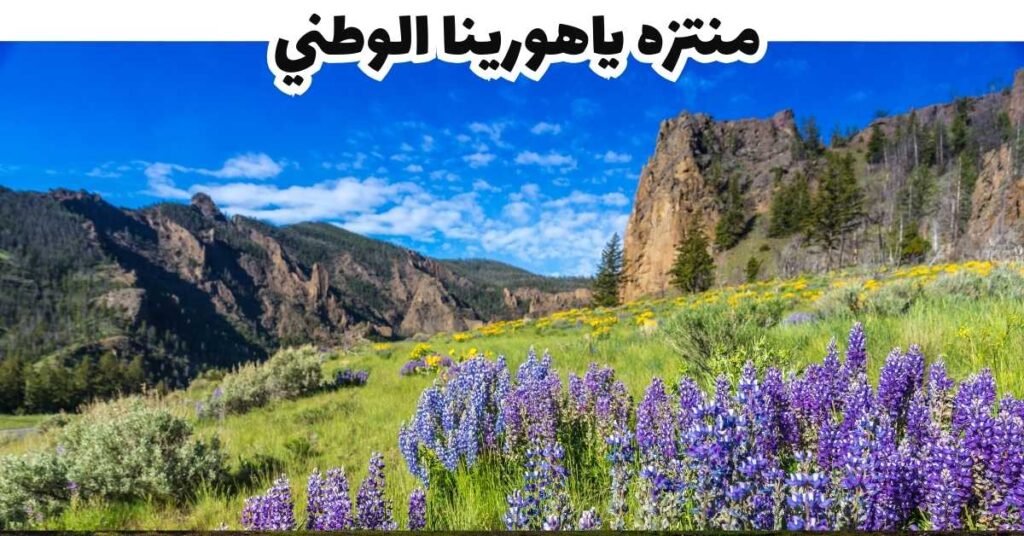 منتزه ياهورينا الوطني