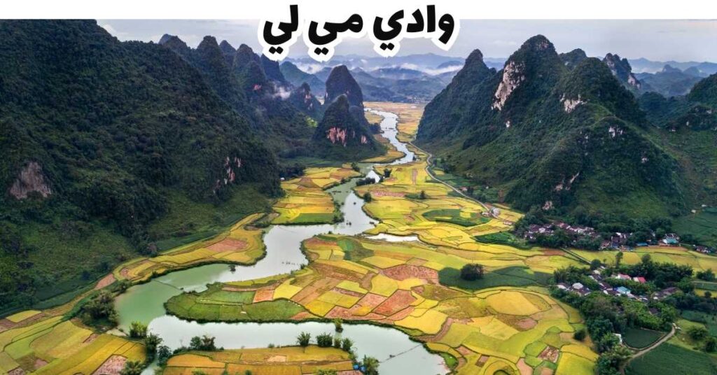 وادي مي لي - سابا