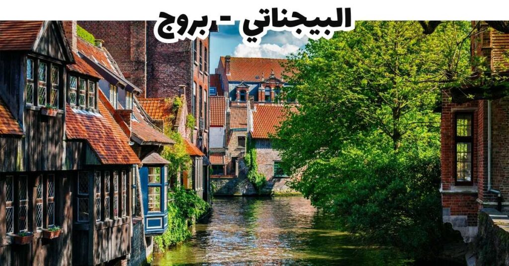 البيجناتي  -  بروج