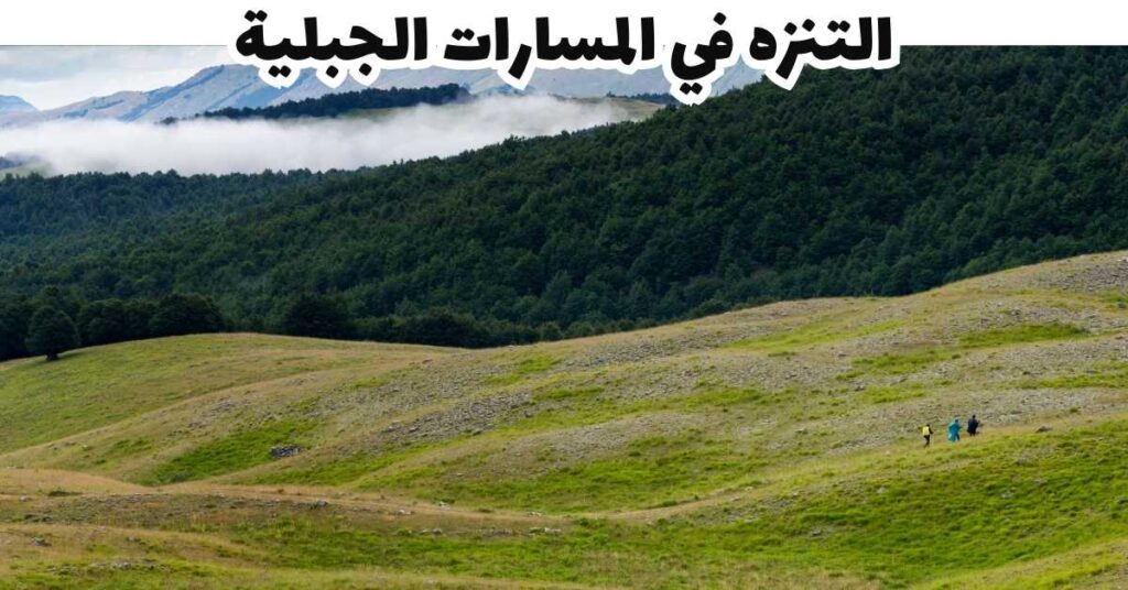 التنزه في المسارات الجبلية -  بوسيتانو
