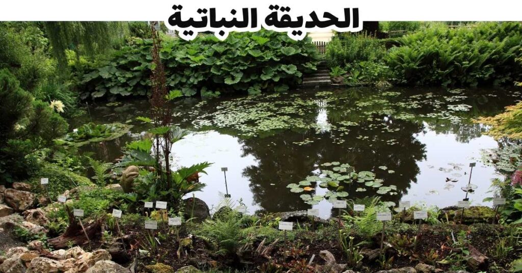 الحديقة النباتية