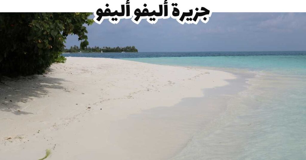 جزيرة أليفو أليفو  -  المالديف