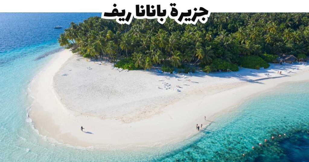 جزيرة بانانا ريف -  المالديف