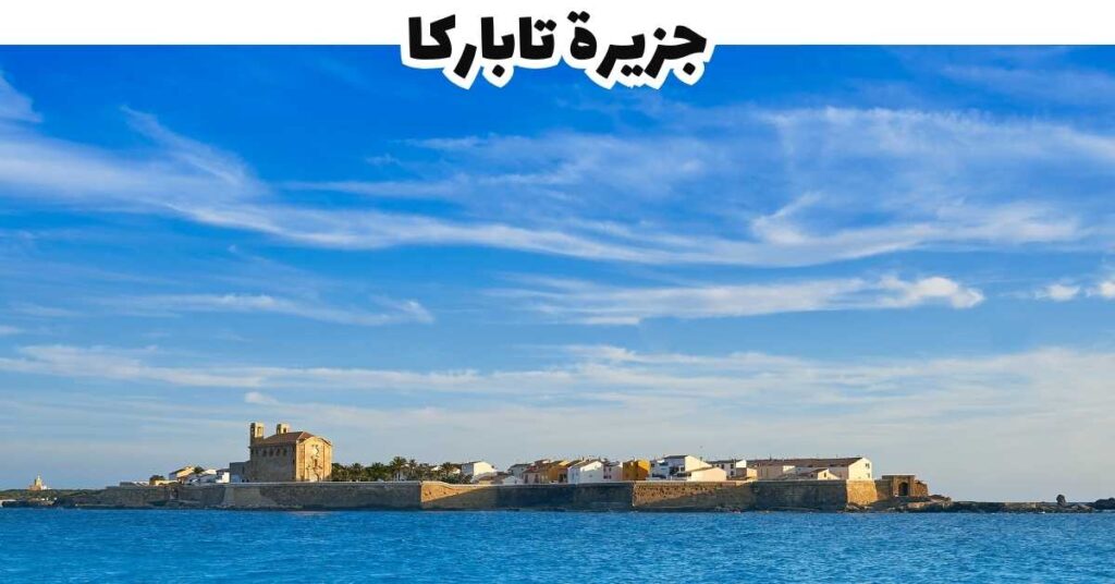 جزيرة تاباركا