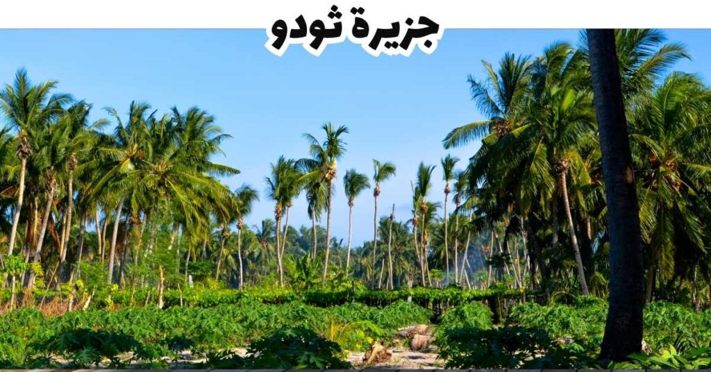 جزيرة ثودو  -  المالديف
