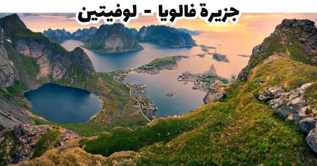 جزيرة فالويا  -  لوفيتين