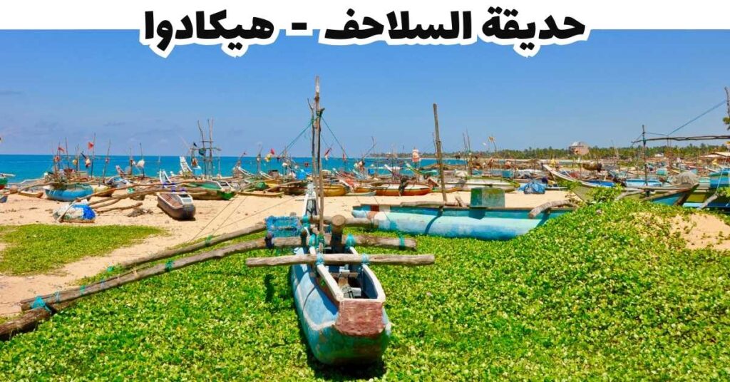 حديقة السلاحف  -  هيكادوا