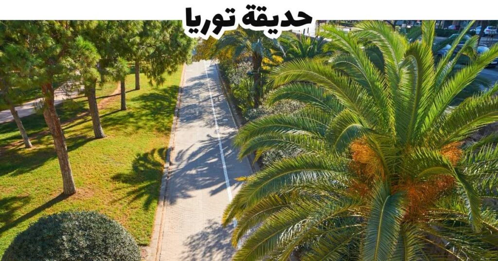 حديقة توريا - فالسيا