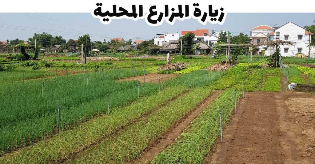 زيارة المزارع المحلية - برينز