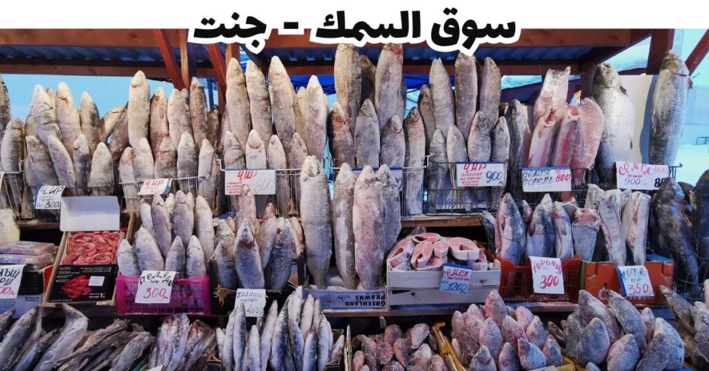 سوق السمك  -  جنت 
