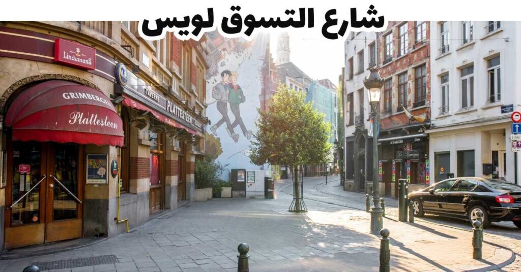 شارع التسوق لويس 