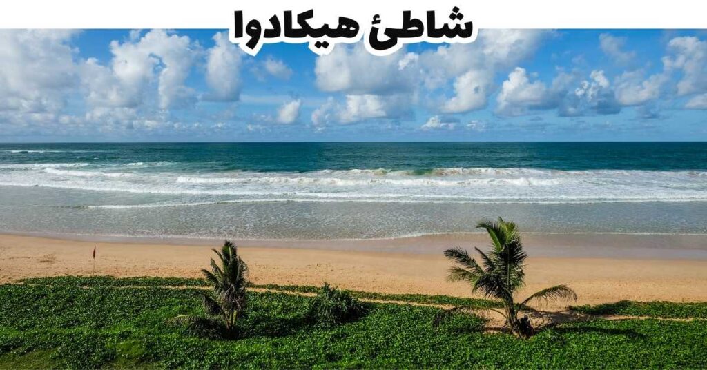 شاطئ هيكادوا -  هيكادوا