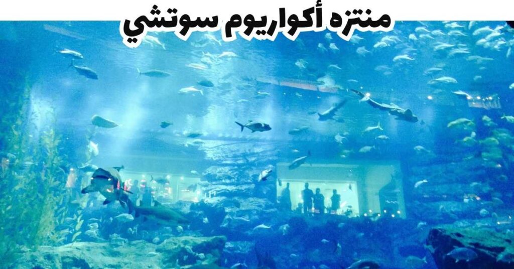 منتزه أكواريوم سوتشي
