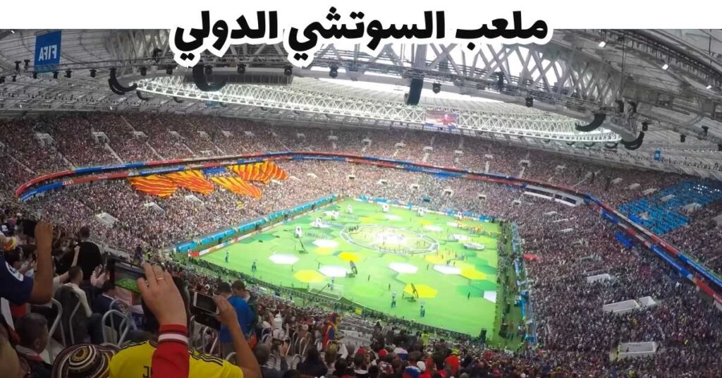 ملعب السوتشي الدولي