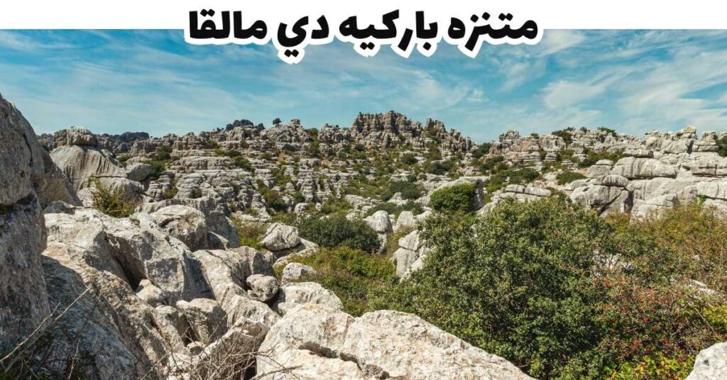 متنزه باركيه دي مالقا  -  ملقا