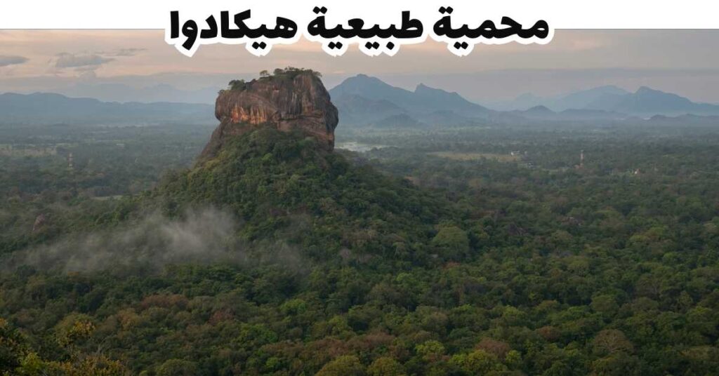 محمية طبيعية هيكادوا -  هيكادوا