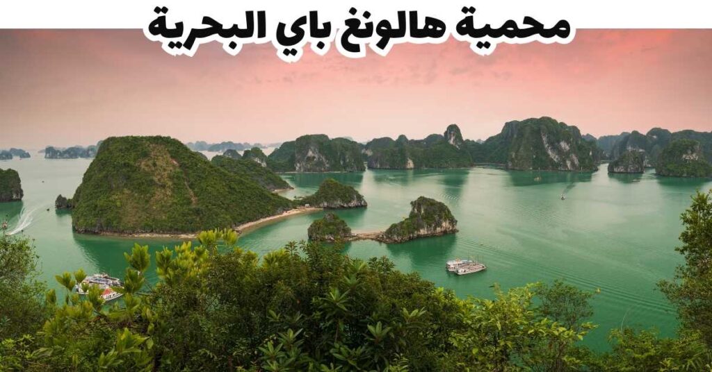 محمية هالونغ باي البحرية