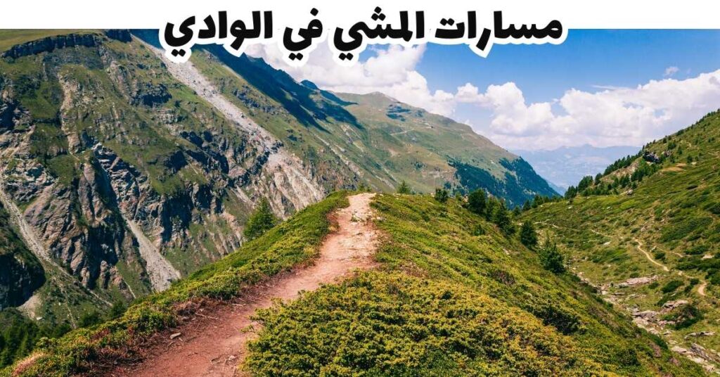 مسارات المشي في الوادي - برينز