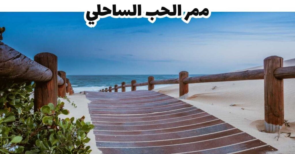 ممر الحب الساحلي