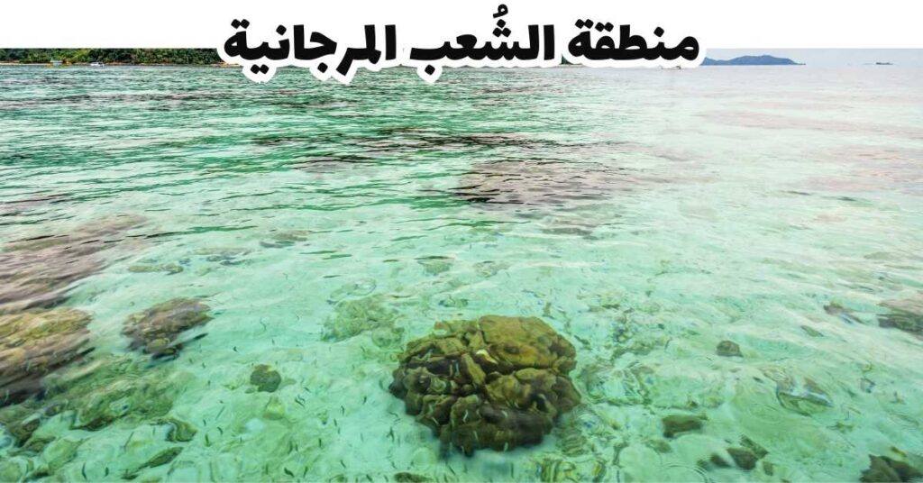 منطقة الشُعب المرجانية -  كوه ليبي