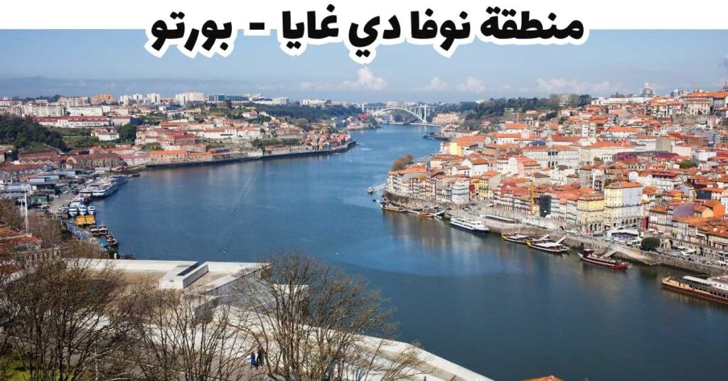 منطقة نوفا دي غايا - بورتو