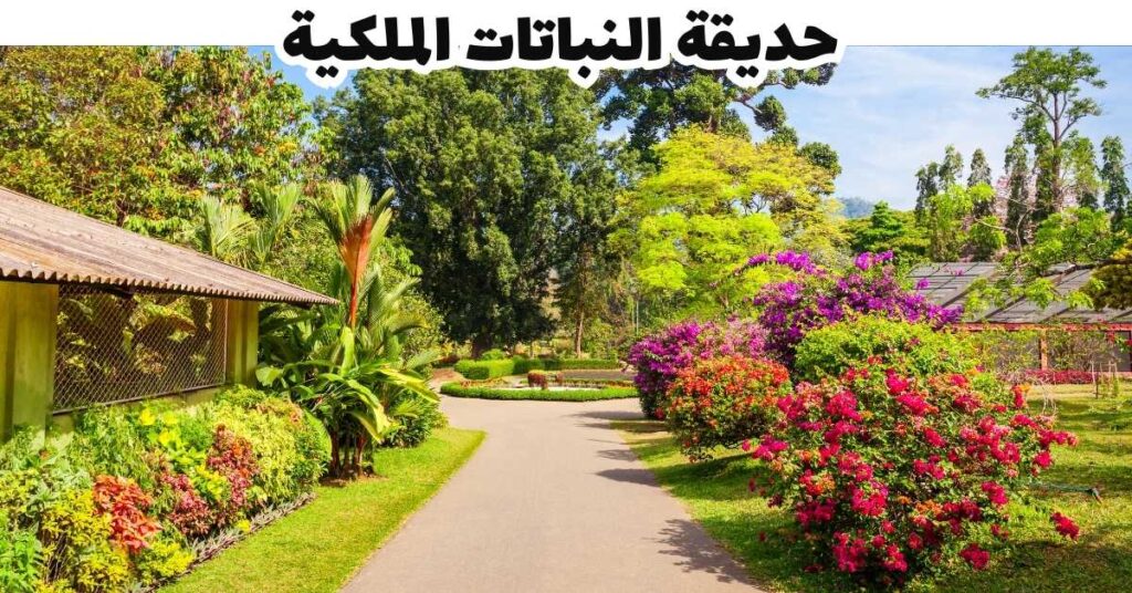 حديقة النباتات الملكية - موريشيوس
