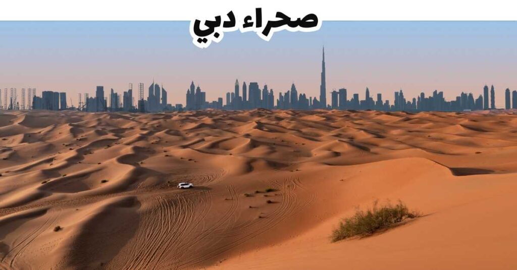 صحراء دبي  -  الإمارات 