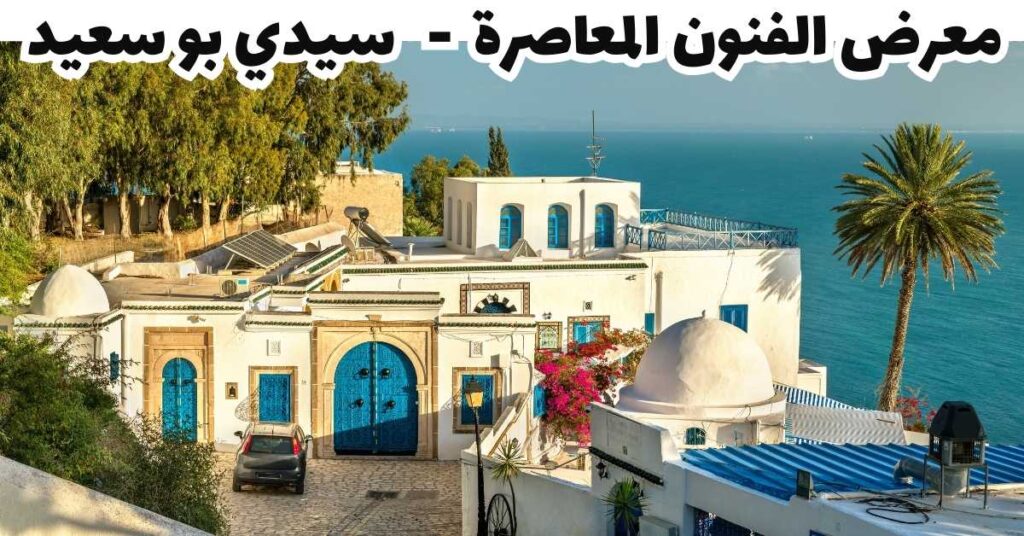 معرض الفنون المعاصرة  -   سيدي بو سعيد