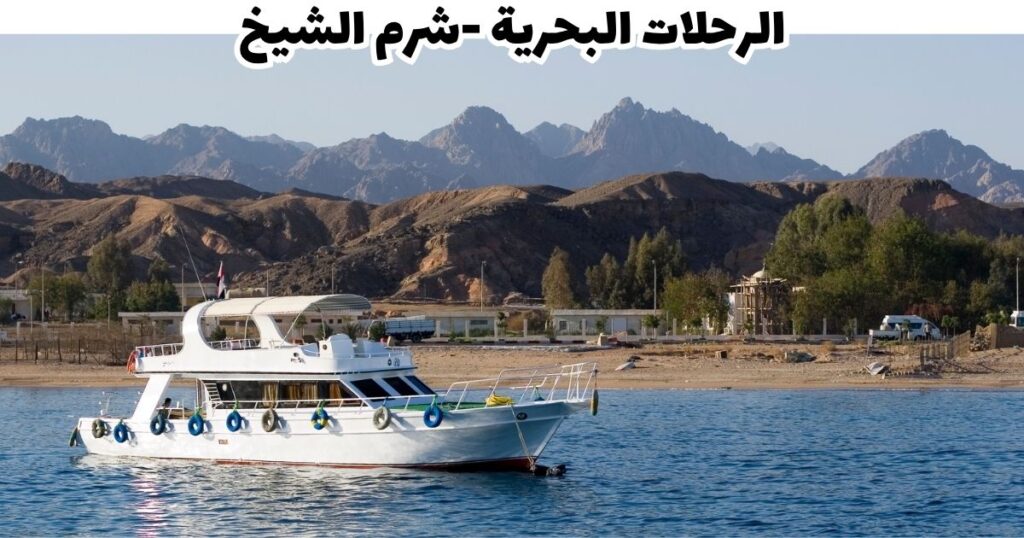 دليلك إلى 15 تجربة ساحرة في واحة مصر - الحياة البحرية في البحر الأحمر