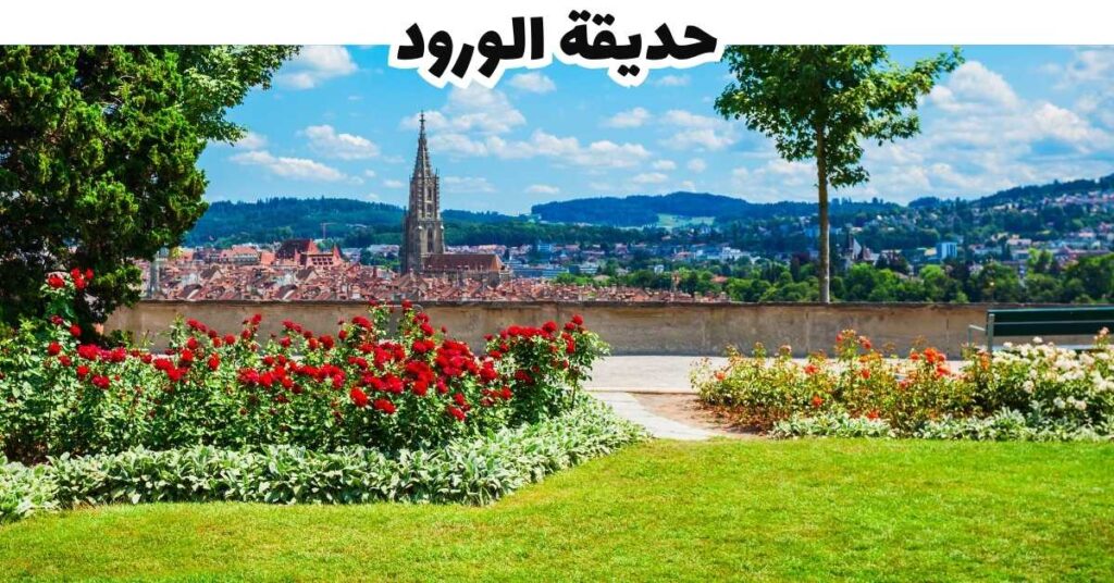 حديقة الورود   -  برن 